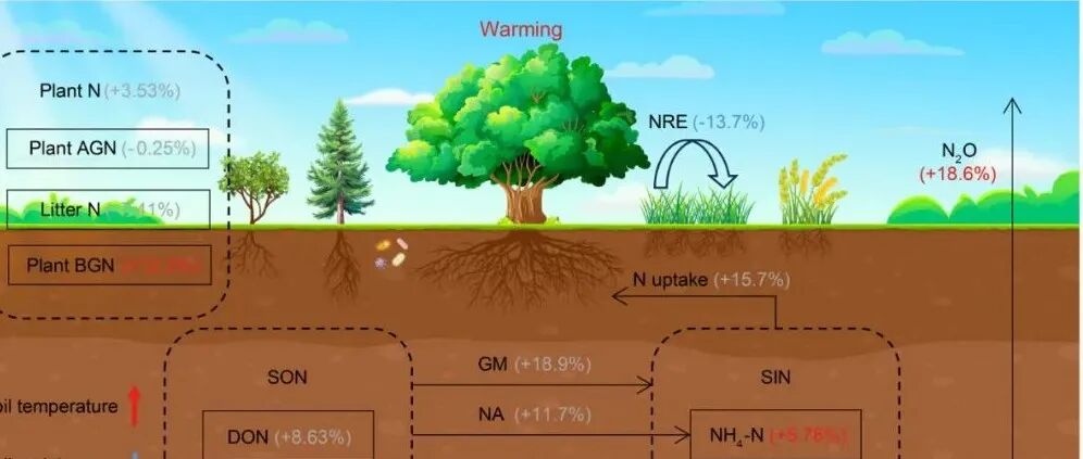 全球尺度Meta分析丨SOIL BIOL BIOCHEM：全球模式与土壤控制因素对陆地氮循环响应实验性变暖的影响