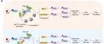 上海科技大学黄行许团队合作最新Science子刊