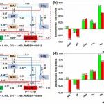 天津大学地科院宋照亮教授课题组GBC最新成果！稻田土壤颗粒和矿物结合有机质的分布、储存及其影响因素