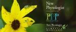 New Phytologist 正式支持作者署名显示中文姓名