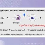 【CCS Chem.】中科大张目亮/田仕凯团队：实现光诱导铜催化Chan-Lam碳氮偶联通用平台