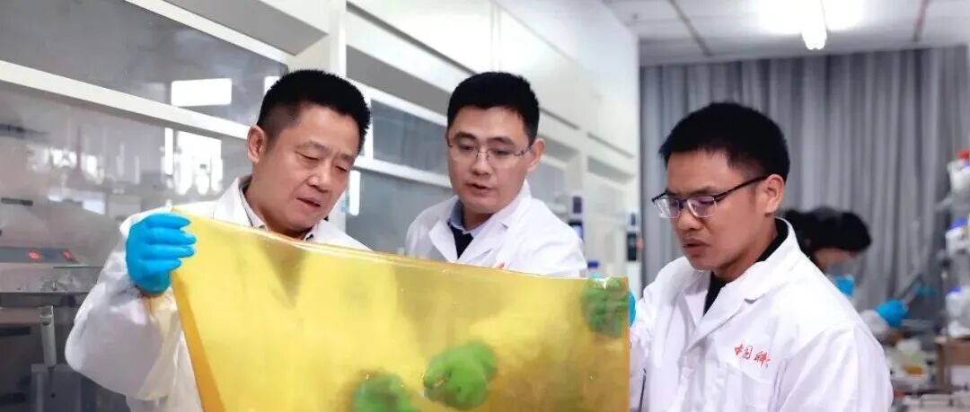 中国科大徐铜文院士：30年的“膜”法人生，精准对接国家需求