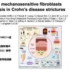 CNS丨期刊学习