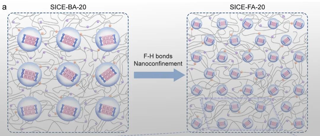 东华大学游正伟教授、孙俊芬教授 AFM：氟氢键限域策略同步提升离子弹性体的拉伸强度、导电性能和自修复性