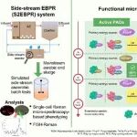 西安理工大学非点源污染与海绵城市创新团队CEJ：侧流强化生物除磷（S2EBPR）工艺发酵池的生化过程与微生物作用机制解析