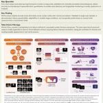 Eur Heart J | 上海交大金成课题组开发Motion-Echo 的半监督心肌应变分析模型