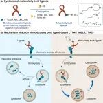 ACS Cent. Sci. | MBL-LYTACs开启膜受体靶向治疗新纪元