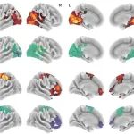 北京师范大学柳昀哲等合作最新PNAS