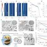 研究前沿：单晶富镍正极材料-锂电 | Nature Nanotechnology