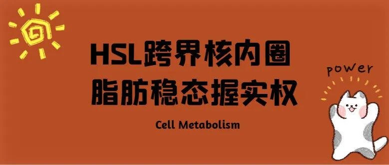 Cell Metabolism：HSL跨界核内圈，脂肪稳态握实权