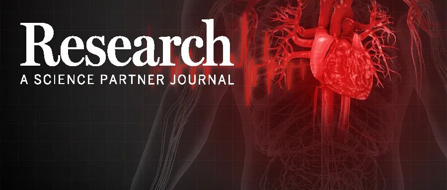 Research|破解主动脉夹层 “分子密码”！ 青岛大学王建勋/于涛教授团队揭示乳酰化修饰在主动脉夹层中的作用机制