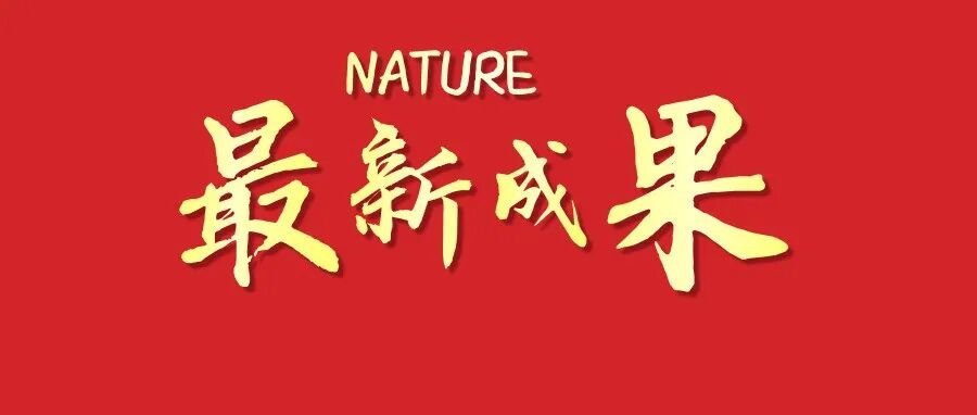 3D纳米打印登上Nature！