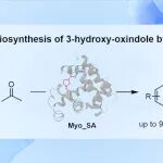 【Org. Lett.】江南大学周志组：定向进化人工醛缩酶用于3-羟基氧化吲哚的不对称合成