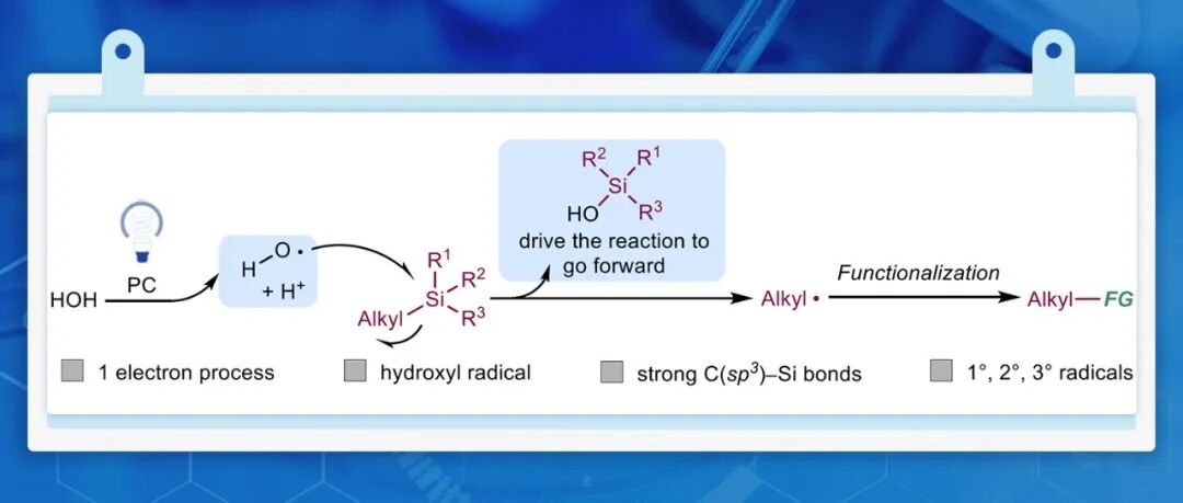 【Angew. Chem.】武汉大学沈晓课题组：光催化羟基自由基活化强C(sp³)—Si键实现烷基化及环硅功能化反应