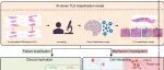 Cancer Res | 浙江大学伍品等团队通过人工智能手段解读胃癌三级淋巴结构成熟度