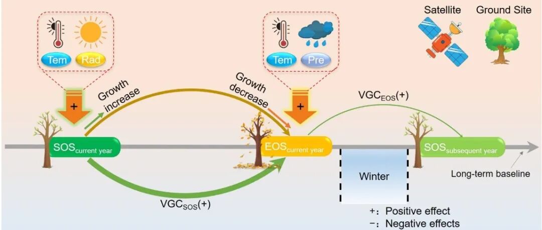 兰州大学邓建明教授团队《Global Ecol. Biogeogr.》最新成果！从全球尺度分析南北半球植被物候的关联机制
