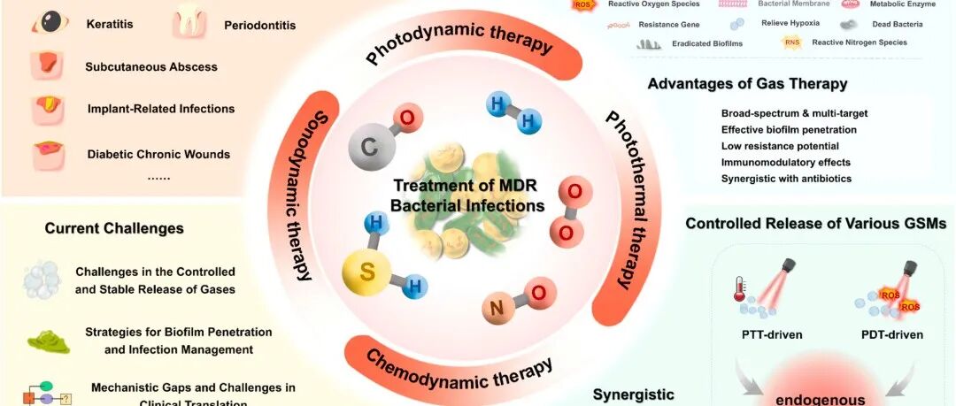 【Nano Today】气体疗法对抗抗菌药物耐药：机制、协同策略和临床转化挑战-上