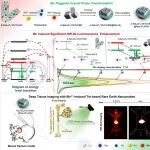 Nano Lett：定制晶体结构和能量调节途径以实现超过1600纳米的增强型近红外二区发光成像
