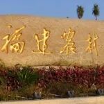 福建农林大学副校长以第一作者和通讯作者身份发表最新论文