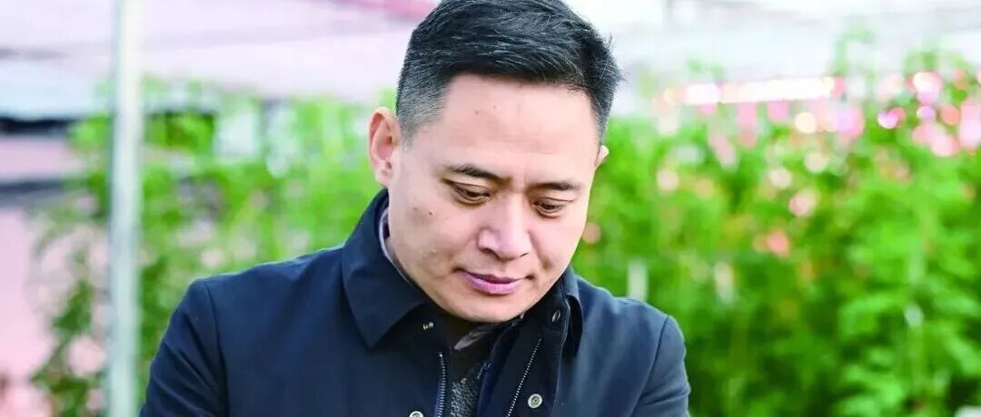 北京市农林科学院所长以通讯作者身份发表Nature Communications，在乙烯调控黄瓜株型研究领域取得重要进展