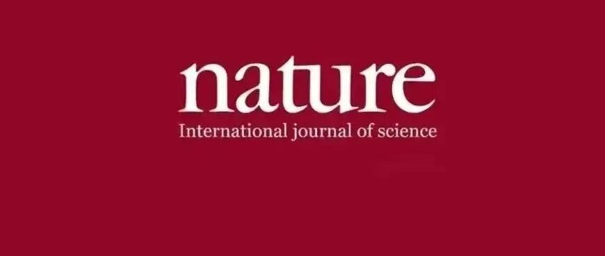 恭喜！两篇重磅成果登Nature，材料领域最年轻院士候选人实至名归！