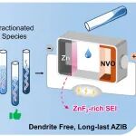 昆士兰大学张承团队 JACS：氟化嵌段聚合物添加剂实现超稳定水系锌离子电池