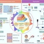 重庆大学尹志刚教授等 The Innovation/Nano Energy/CEJ：有机光电探测器设计及其水下前景与神经形态应用