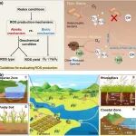 中国地质大学（武汉）袁松虎团队Earth-Science Review：地下环境活性氧的产生及其意义