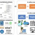 北京大学生态研究中心姚蒙研究组在《Methods in Ecology and Evolution》发表重要研究成果！