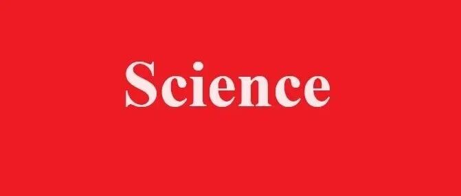 全球首次实现！上海交大，《Science》+1！