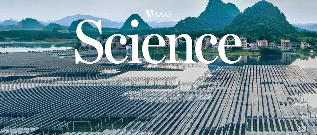 北航Science！上海交大Science！吉大Science！