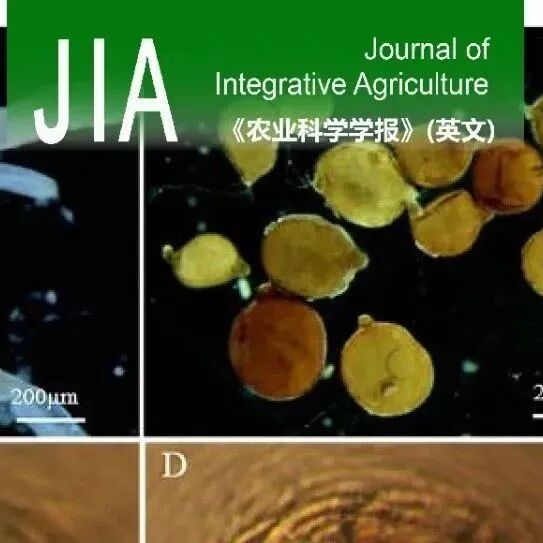 JIA | 2024—2025年「病原线虫」论文合集