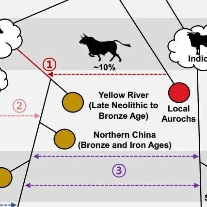吉林大学最新Science