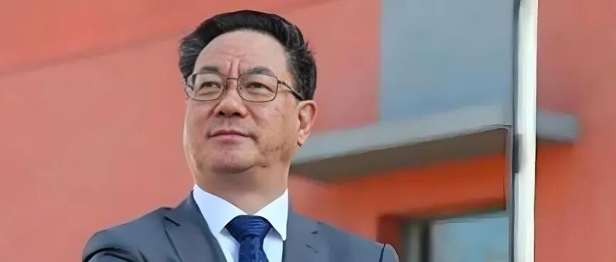 获审稿人一致好评！「七院院士」王中林，重磅Nature子刊！