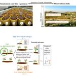 Ecology Letters | 生态学研究中的因果推断：基础、现状与未来