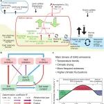 GCB | 受人类影响的自然生态系统加剧气候变暖