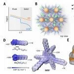 研究透视：有机电解质，离子电导率-液固无关 | Science