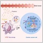 Cell Metab | 中山大学潘超云等揭示抗抑郁药增强卵巢癌化疗敏感性的作用机制