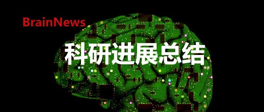 浙江大学脑科学与脑医学学院2025年重要科研成果汇编