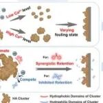 25年12月19日文献情报（10篇）
