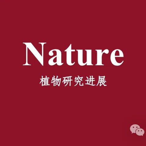 博士毕业于中国科学院，以共同第一作者身份在《Nature》上发表突破性研究成果，副研究员将主讲蛋白表达纯化与结构分析课程