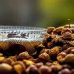 国货草本新黑马！Sci Rep 实锤《本草纲目》中“洗手果”是宝藏，泛红、留疤全能搞定