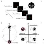 清华大学刘嘉团队最新Science子刊