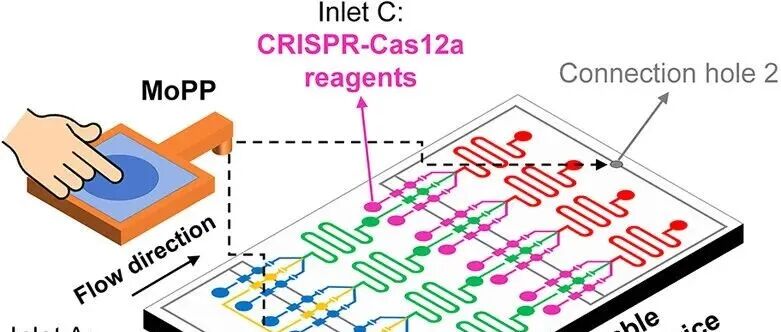 AC.基于集成模块化加压泵的手指驱动微流控装置，利用CRISPR–Cas12a超灵敏检测多种食源性致病菌