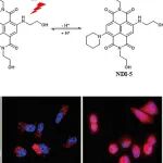 Chem. Soc. Rev：基于扭曲的分子内电荷转移（TICT）的荧光探针和成像制剂