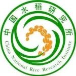 钱前院士团队在Nature Communications发表研究成果，从主粮到“情绪调节剂”，让大米变身天然抗压食品