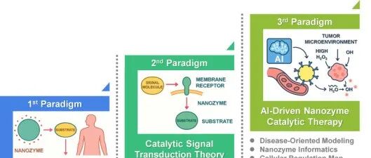 Acc. Mater. Res.|面向催化医学纳米酶的理性设计