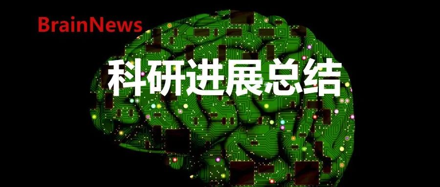 2025复旦大学脑科学研究院重要成果汇编