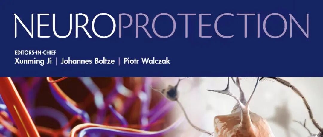 捷报！卓越期刊Neuroprotection获PMC收录！您成果发布的首选