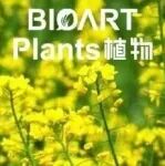 Adv Sci | 华中农大联合崖州湾国家实验室发布油菜泛转座子图谱，揭示“跳跃基因”调控开花期和产量的新机制